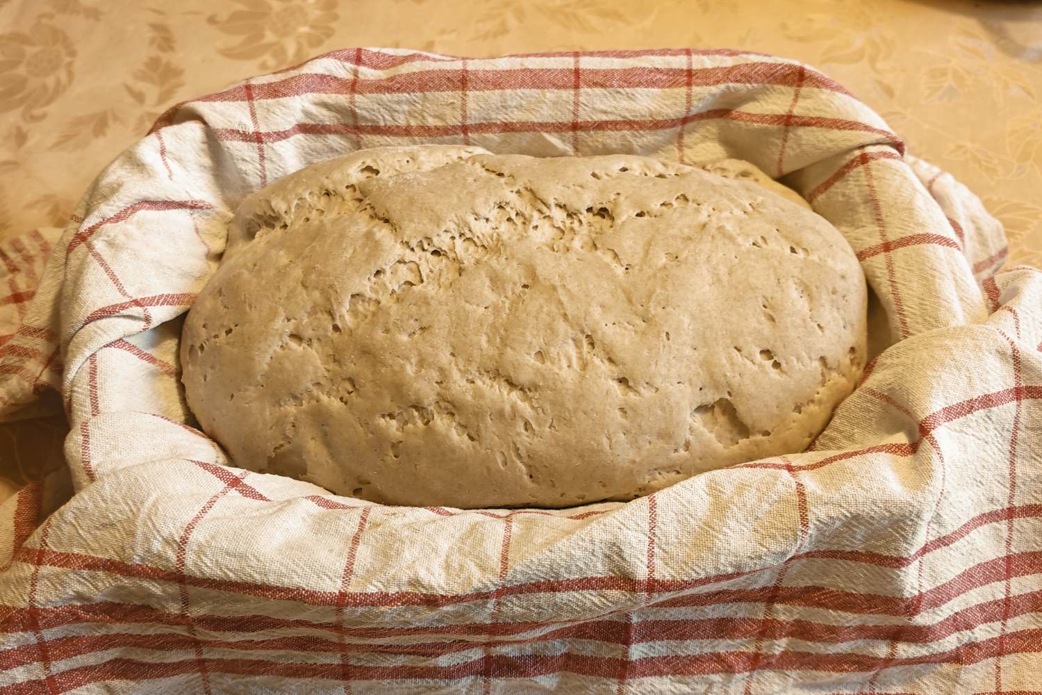 Brot Teigling im Gärkorb